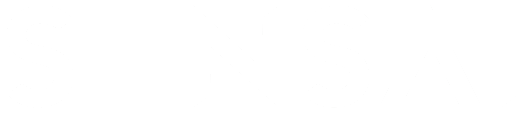 SENSAI